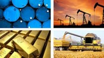Hàng hóa TG sáng 31/10/2019: Giá dầu và vàng giảm, nông sản hầu hết tăng