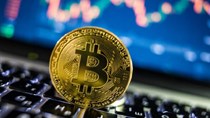 Giá bitcoin hôm nay 11/6 trên 36.000 USD