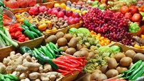 Một số thông tin về thị trường rau quả thế giới