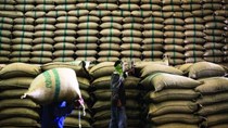 Bangladesh mở thầu mua thêm 50.000 tấn gạo