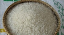USDA dự báo sản lượng - tiêu thụ - tồn trữ gạo thế giới (báo cáo tháng 2/2023)