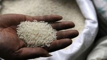 Giá gạo tại Bangladesh vẫn cao mặc nhập khẩu nhiều và dự trữ tăng