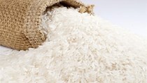 Giá gạo Ấn Độ lập kỷ lục cao mới do nguồn cung khan hiếm, gạo Việt Nam vững, gạo Thái Lan giảm