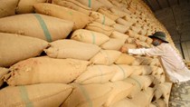 USDA dự báo thương mại gạo thế giới (báo cáo tháng 11/2022)