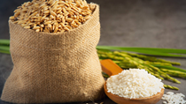 Thị trường gạo Châu Á tuần tới 9/1: Giá gạo Ấn Độ và Thái Lan tăng
