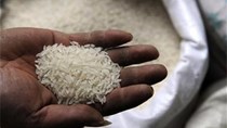 Giá gạo tại Nigeria tăng gần 100% trong một năm qua