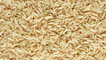 USDA dự báo nhập khẩu / sản lượng / tiêu thụ / tồn trữ gạo thế giới
