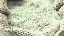 Ấn Độ có thể áp dụng giá sàn đối với gạo basmati xuất khẩu