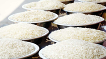 USDA dự báo thương mại gạo thế giới (báo cáo tháng 9/2023)