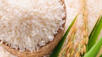 TT lúa gạo châu Á: Giá tăng nhẹ