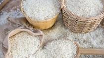 Ấn Độ cho phép xuất khẩu các lô gạo trắng non-basmati bị kẹt tại cảng