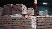 Indonesia hy vọng giá gạo sắp giảm do nguồn cung cải thiện
