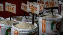 TT lúa gạo châu Á: Giá tăng mạnh sau khi Indonesia mua vào