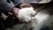 Giá gạo Philippine tăng mạnh
