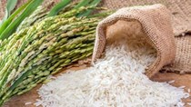 Indonesia ước tính sản lượng gạo 2 tháng đầu năm 2024 giảm 46%