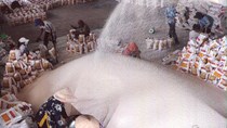 Đề xuất bãi bỏ hàng loạt điều kiện kinh doanh xuất khẩu gạo