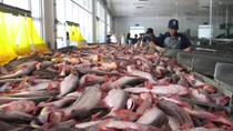 Trung Quốc nhập khẩu miễn thuế đối với cá tra, cá basa Việt Nam
