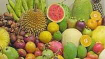 Thị trường rau quả Italy: Nhu cầu trái cây nhiệt đới đang tăng