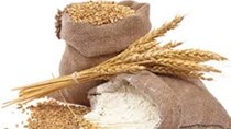 Ukraina sẵn sàng dừng xuất khẩu lúa mì nếu cần thiết