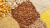 Báo cáo của USDA về thương mại ngũ cốc thế giới