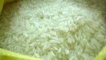 Giá gạo Thái cao nhất 18 tháng, thị trường chờ nhu cầu của Trung Quốc và Indonesia