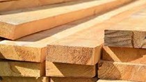 Giá gỗ vừa trải qua tuần giảm mạnh nhất trong lịch sử