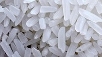 Giá gạo Thái Lan và Ấn Độ giảm sau cuộc bán đấu giá lớn