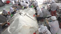 Công bố chất lượng muối ăn ở biển miền Trung sau vụ cá chết