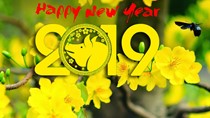 Lịch nghỉ Tết Dương lịch 2019 và Tết Nguyên đán Kỷ Hợi 
