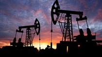 “Giá dầu sẽ ở ngưỡng 60 USD/thùng trong năm 2015 và 2016”