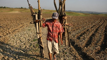 El Nino mạnh lên đe dọa thị trường hàng hóa