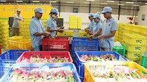 Trung Quốc muốn mua nông sản Việt Nam qua sàn