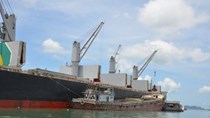 Việt Nam bắt đầu phải nhập khẩu quặng sắt quy mô lớn