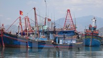 Yêu cầu Trung Quốc trao trả tàu cá Việt Nam vô điều kiện