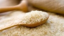 Xuất khẩu gạo sang Trung quốc lại bị làm khó