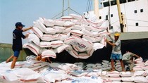 Bác đề xuất miễn, giảm thuế VAT cho gạo và phân bón