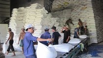 Giá gạo xuất khẩu giảm xuống dưới giá sàn