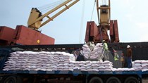 Philippines muốn nhập khoảng 300.000 tấn gạo