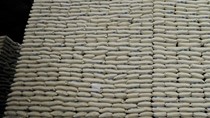 Đàm phán TPP: Nhật Bản đề xuất miễn thuế nhập khẩu đối với 70.000 tấn gạo Mỹ