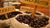 Giá cà phê Arabica thấp nhất 1,5 năm