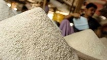 Tổng hợp tin thị trường gạo ngày 5/8 