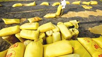 Cuộc đua bán gạo cho Philippines 