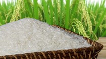 Nhân dân tệ suy yếu có thể tác động đến giá gạo Việt Nam