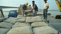 Tiêu thụ xi măng tăng, giá ổn định