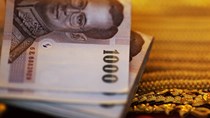 Thái Lan nới lỏng đầu tư ra nước ngoài, baht thấp nhất 6 năm 
