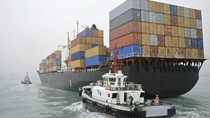 Xuất khẩu của Trung Quốc giảm mạnh 