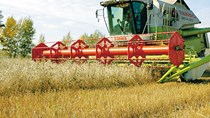 Macquarie: Giá nông sản thế giới sẽ còn tiếp tục giảm