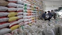 Philippines mời Việt Nam dự thầu cung ứng 750.000 tấn gạo