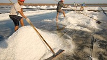 Sẽ điều tiết cung - cầu thị trường muối