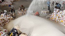 Indonesia đính chính kế hoạch mua 1 triệu tấn gạo Việt Nam 